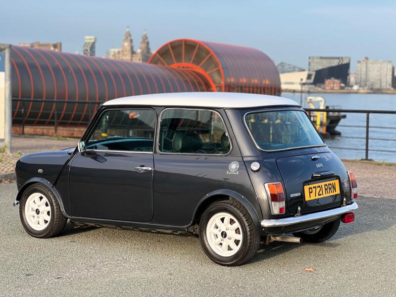 ROVER MINI