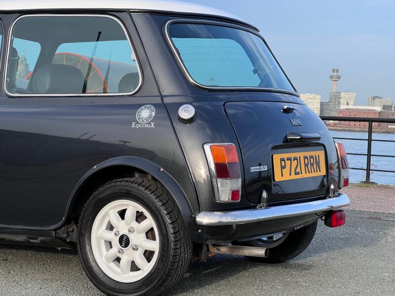 ROVER MINI