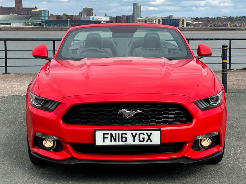 FORD MUSTANG