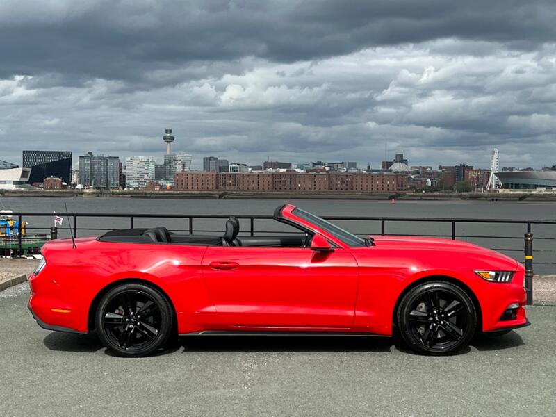 FORD MUSTANG
