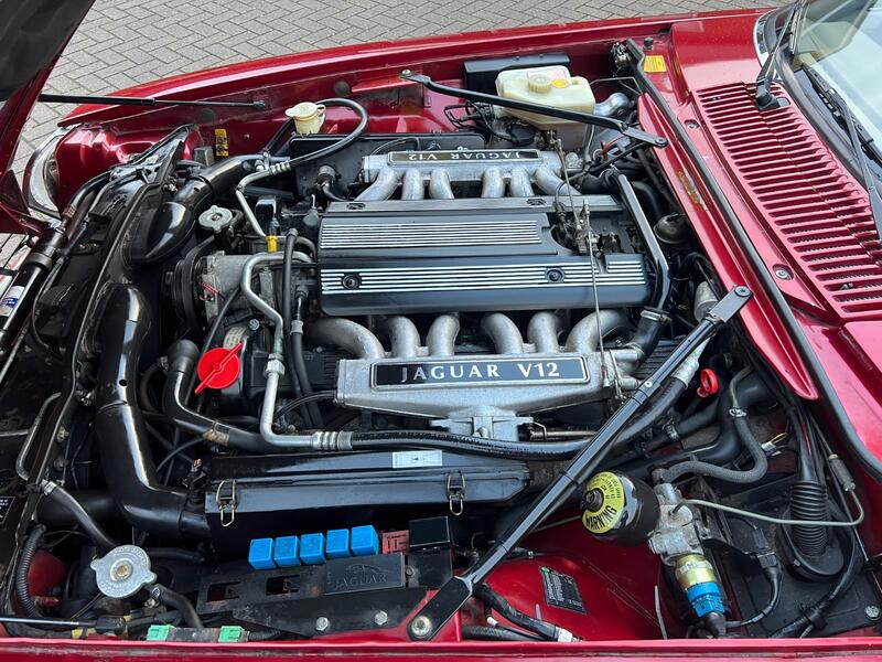 JAGUAR XJS